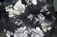 探索大自然的奇妙：菊花石的神秘之美
