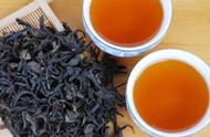 乌龙茶的奥秘：茶语者问答