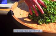 广西六堡茶：神奇的饮品与文化的交融