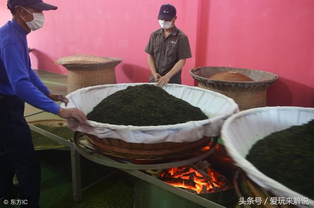 中国十大名茶之一:六安瓜片，曾为朝廷贡茶！你品尝过吗？